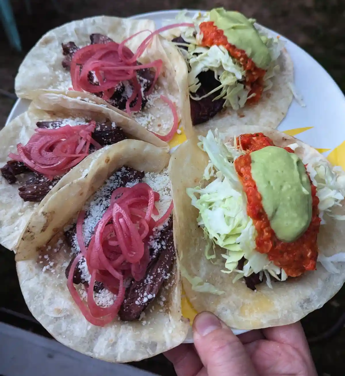A plate of four tacos is shown, two with meat, pickled red onions, and cotija cheese, and two with meat, shredded cabbage…