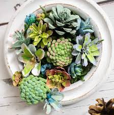 A white ceramic bowl filled with assorted artificial succulents and pinecones, arranged on a light wooden surface. The image…