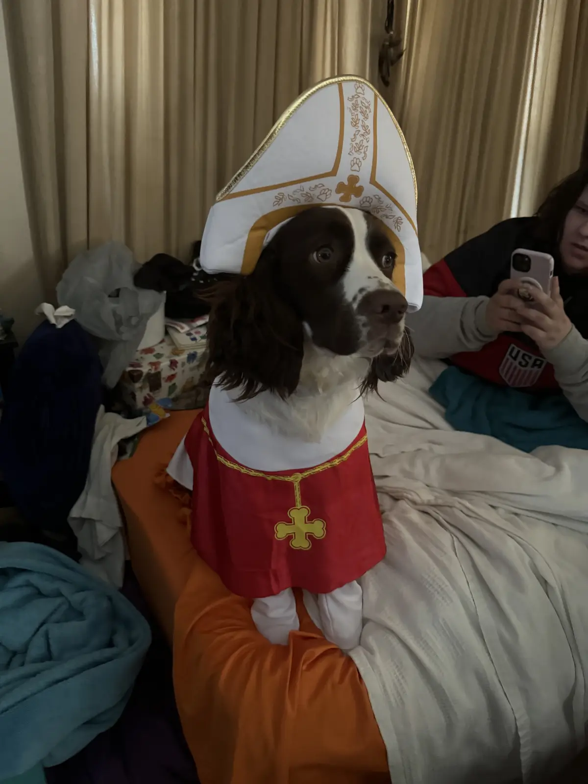 A brown and white dog wearing a white and gold bishop's mitre and a red vestment with a gold cross sits on an orange…