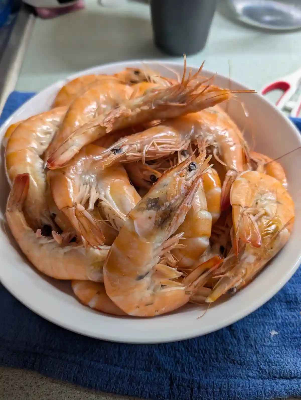 A white bowl filled with cooked, peeled shrimp sits on a blue towel, with the shrimp appearing to be piled together in a…