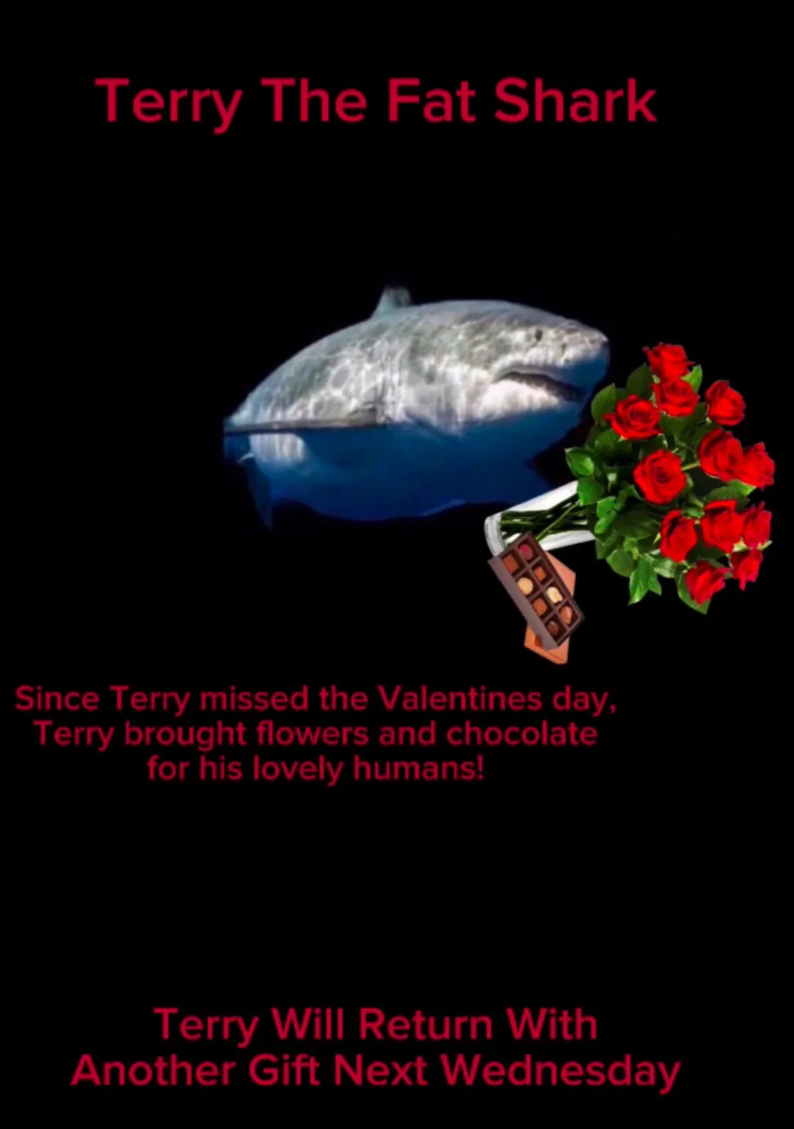 A large great white shark, labeled 'Terry The Fat Shark,' is shown holding a bouquet of red roses and a box of chocolates…