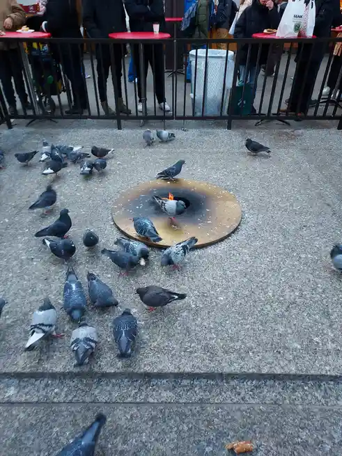 A pigeon is perched on a circular metal grate in a public plaza, with flames visibly emanating from its body, while other…