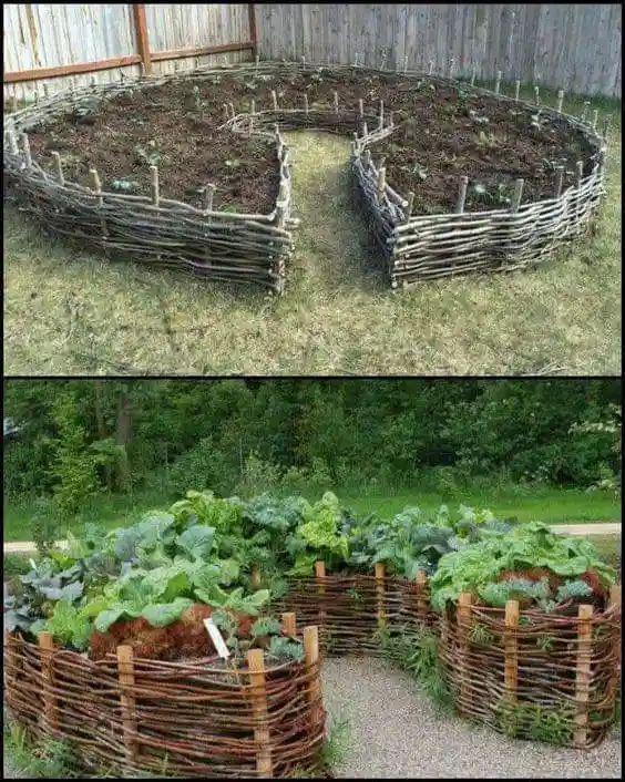 The image is a two-panel meme showing a garden bed shaped like a heart. The top panel shows the bare, newly planted bed with…