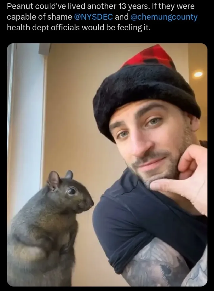 A man wearing a black and red plaid beanie and a dark shirt poses with a gray squirrel standing upright beside him. The man…