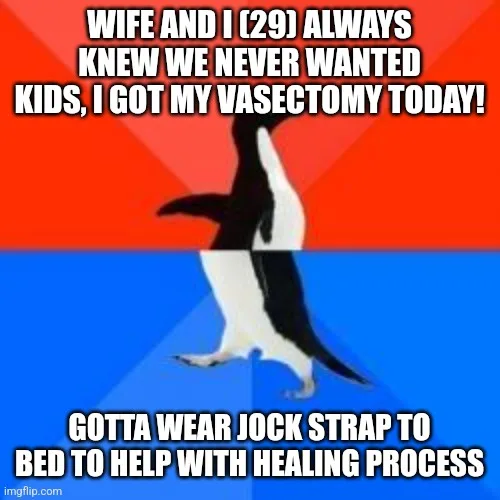 A penguin walks across a red and blue background, with text at the top stating 'WIFE AND I (29) ALWAYS KNEW WE NEVER WANTED…