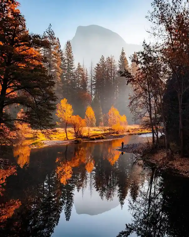 Nature's Masterpieces: A Celebration