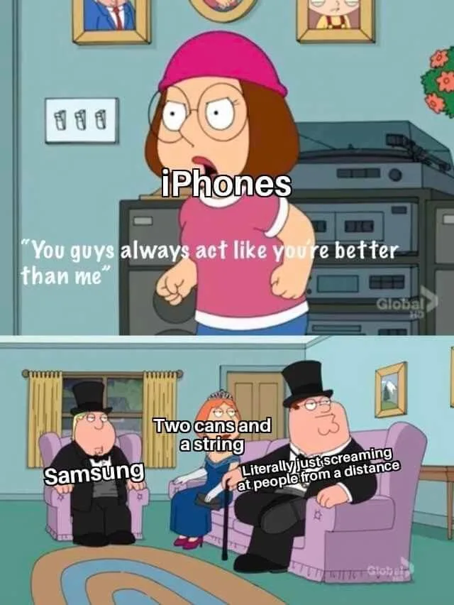 The image is a two-panel meme from the animated show Family Guy. In the top panel, Lois Griffin, wearing a pink hat and…