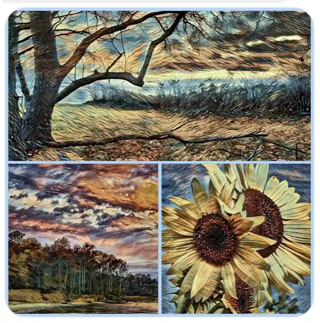 A collage of three nature scenes rendered in a painterly, textured style: a stormy tree-lined field, a dramatic sunset over…