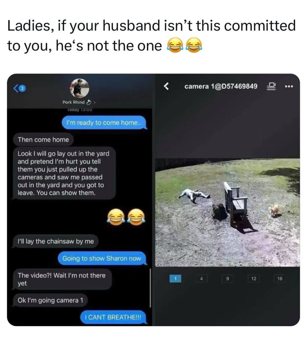 The image shows a split-screen: on the left, a text message conversation between a user named 'Pork Rhind' and a partner…
