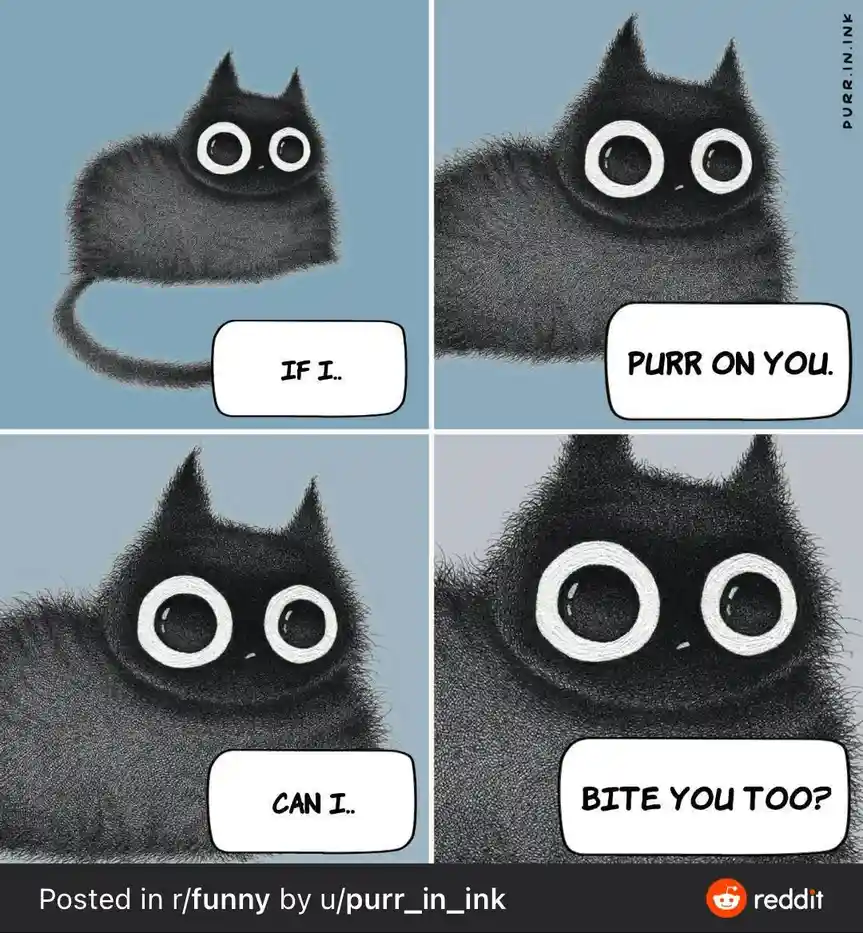 A four-panel comic strip featuring a stylized black cartoon cat with large white-rimmed eyes. The panels show the cat…