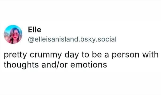A screenshot of a social media post by user 'Elle' with handle '@elleisanisland.bsky.social', featuring a circular profile…