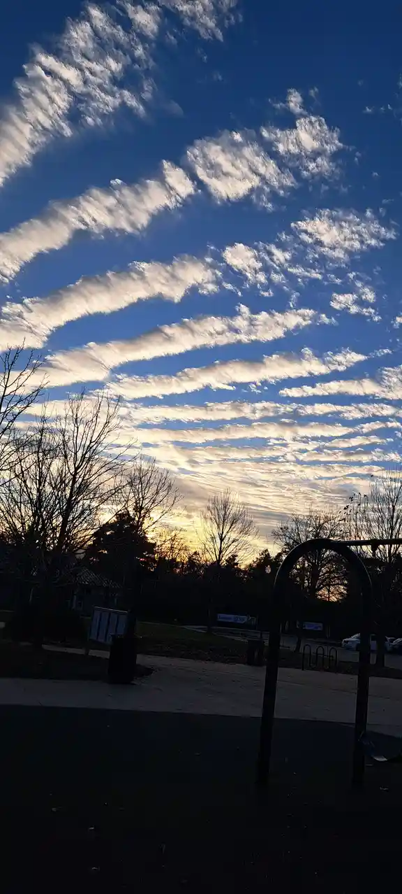 A photo of a dramatic sky with streaky, illuminated clouds against a deep blue backdrop, framed by silhouetted trees and…