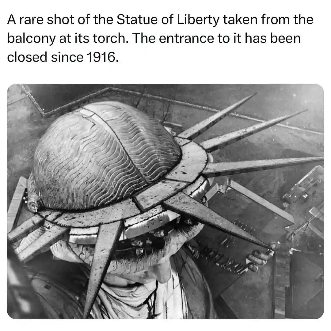 A Truly Rare Capture