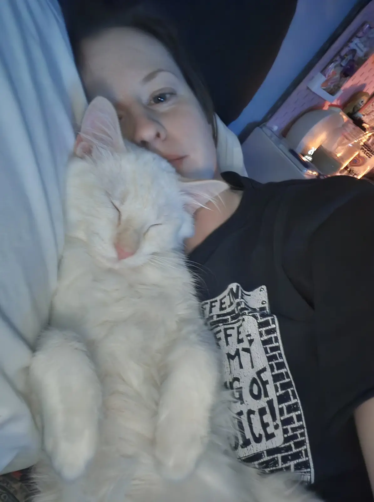 Meet Mortimer: The Meme Sensation