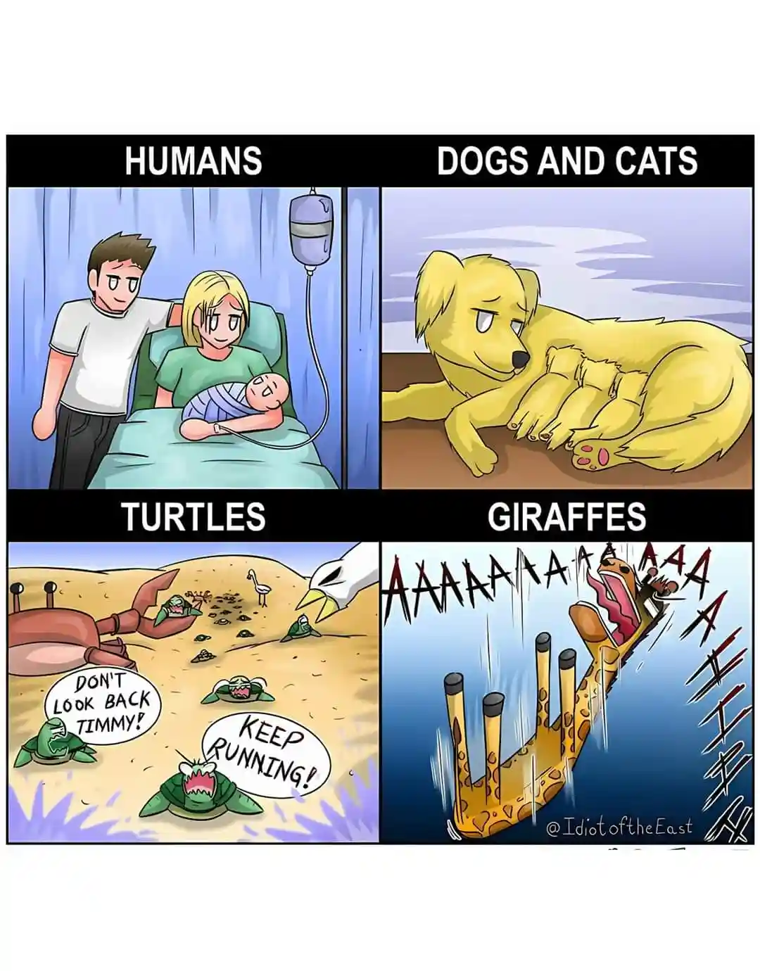 This four-panel meme contrasts how different species react to danger or stress. The top-left panel shows humans calmly…
