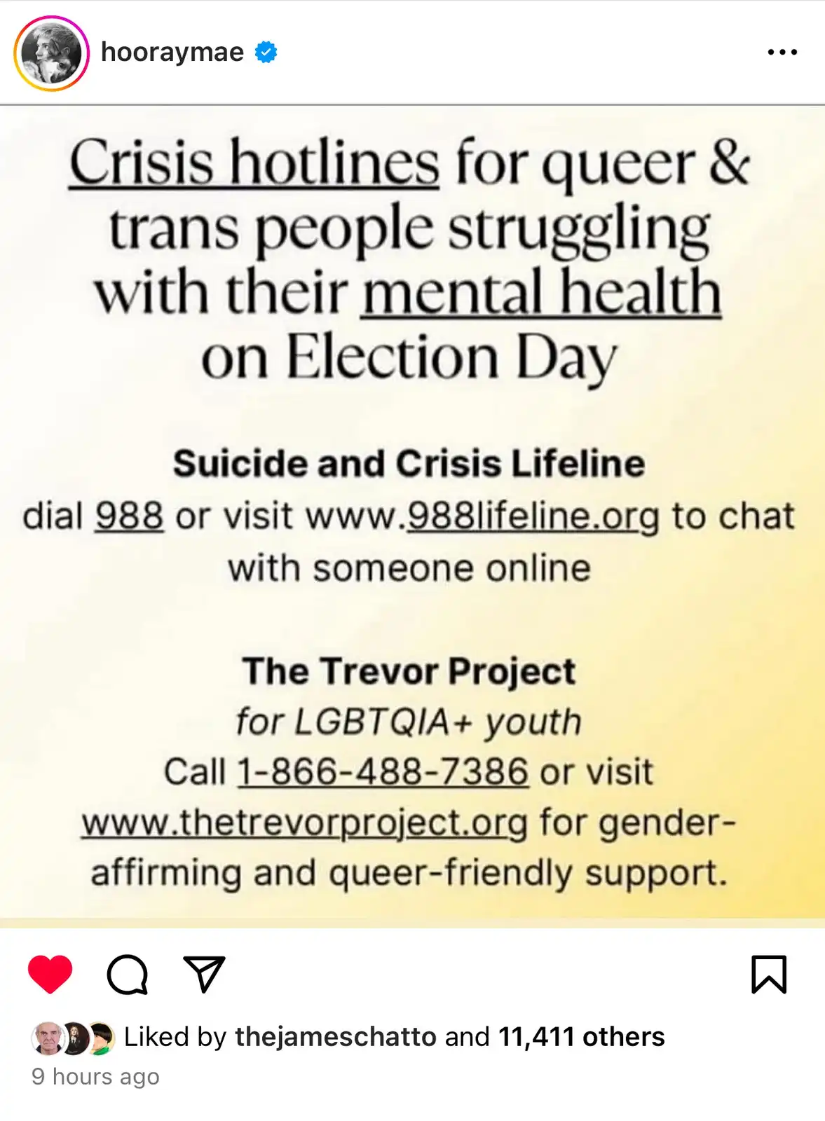 An Instagram post by 'hooraymae' displays a public service announcement listing crisis hotlines for queer and trans…