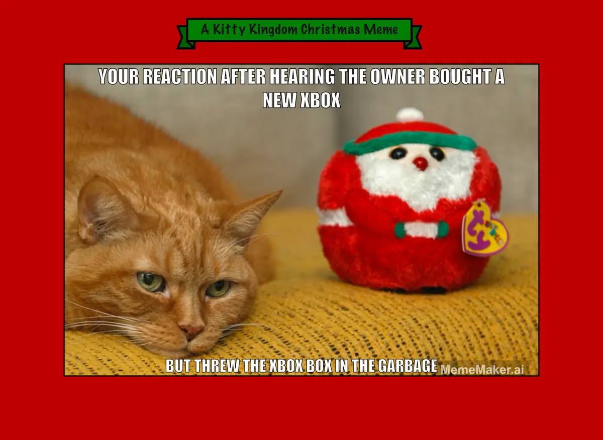Countdown to Christmas in the Kitty Kingdom: Day 17