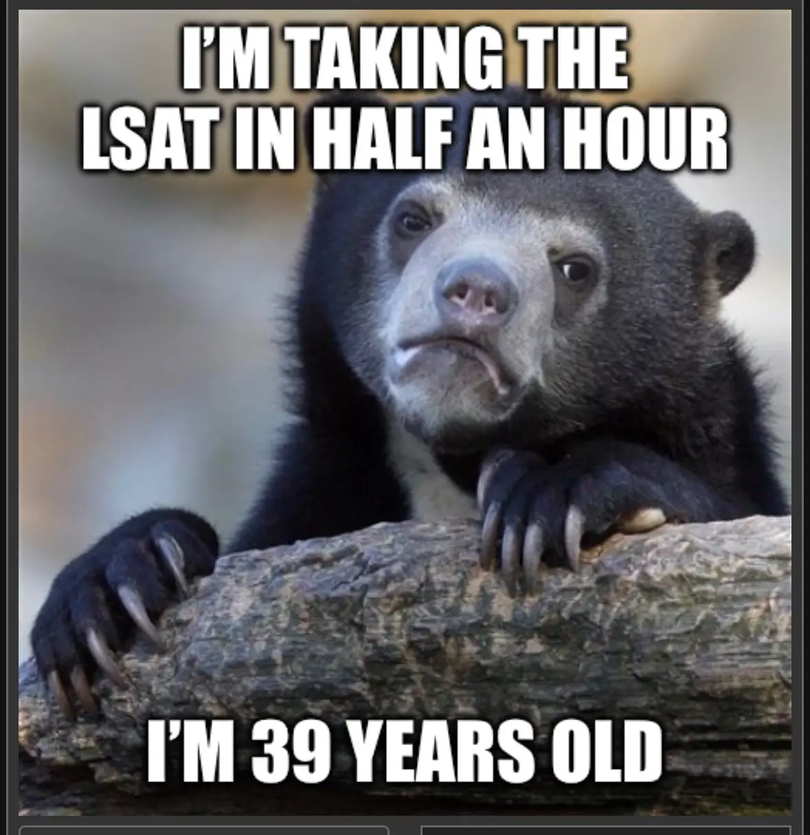 A close-up photo of a sad-looking spectacled bear resting its paws on a log, with white bold text overlaid at the top…