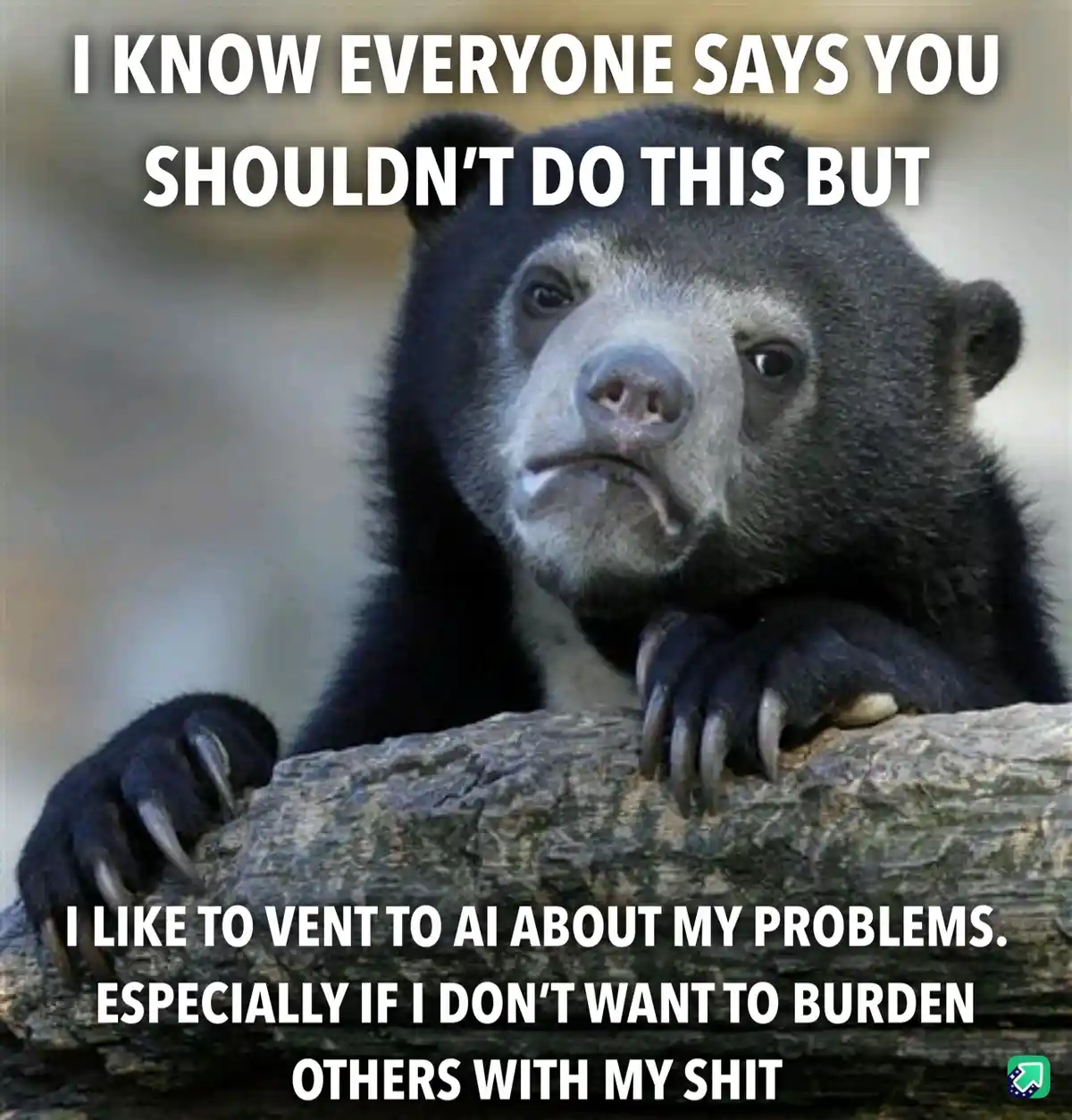 A close-up photo of a sad-looking sun bear resting its paws on a log, with white bold text overlaid in two sections. The top…