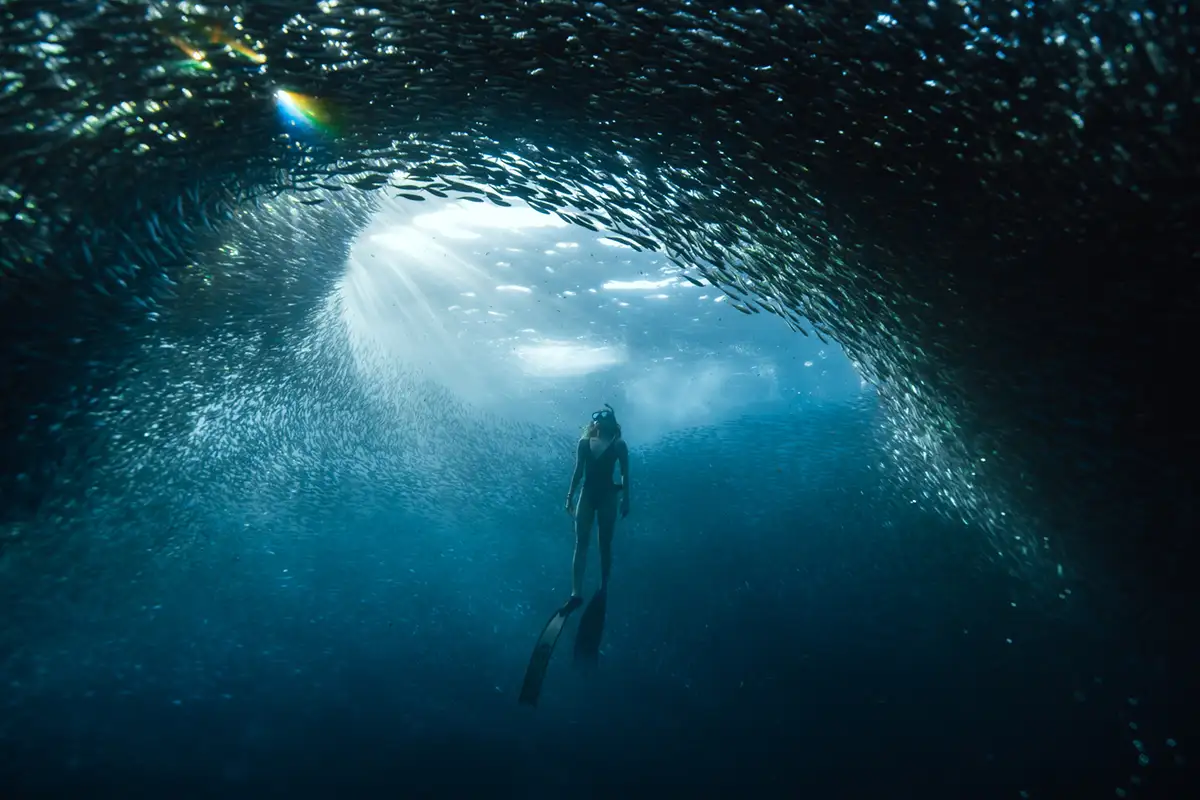 A person in snorkeling gear is submerged underwater, surrounded by a massive, swirling school of small fish that forms a…