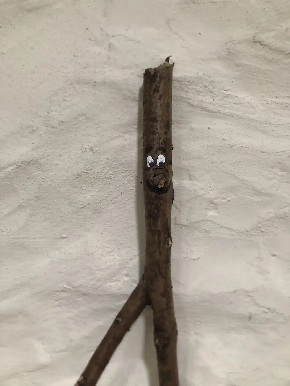 A brown stick with a face drawn on it, featuring white eyes with black pupils, black eyebrows, and a downturned mouth…