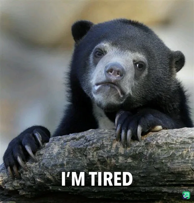 A close-up photo of a sun bear with a weary, droopy-eyed expression, resting its paws on a log. The text 'I'M TIRED' is…