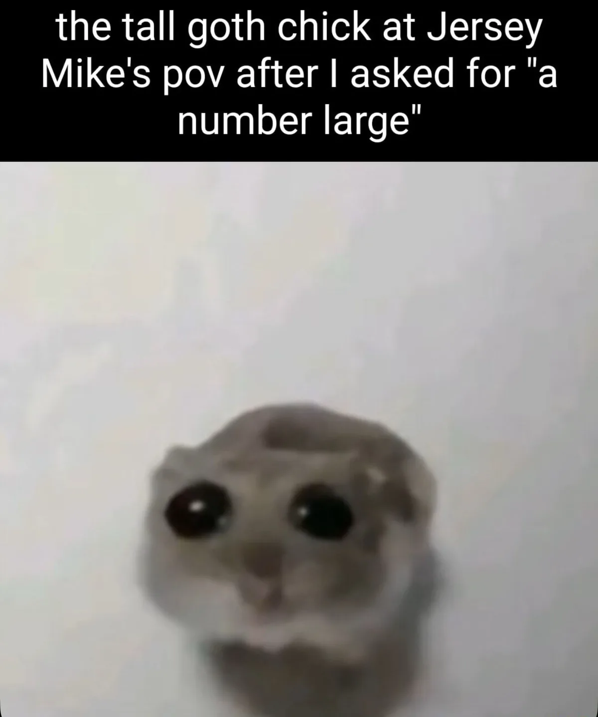 A blurry, close-up image of a small rodent, likely a hamster or gerbil, with large, dark, expressive eyes staring directly…