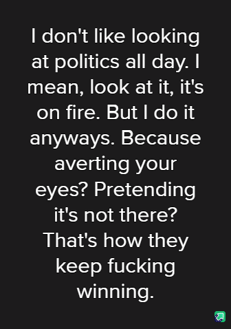 A black background with white text that reads: 'I don't like looking at politics all day. I mean, look at it, it's on fire…
