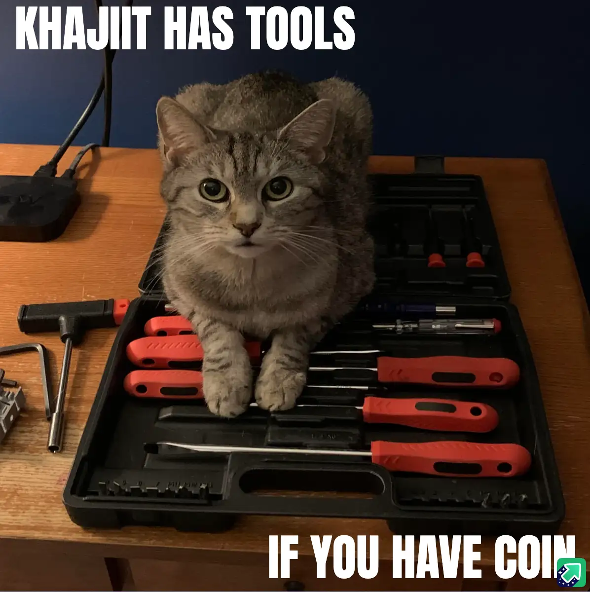 A gray tabby cat sits atop an open black toolbox filled with red-handled screwdrivers and other tools on a wooden table…