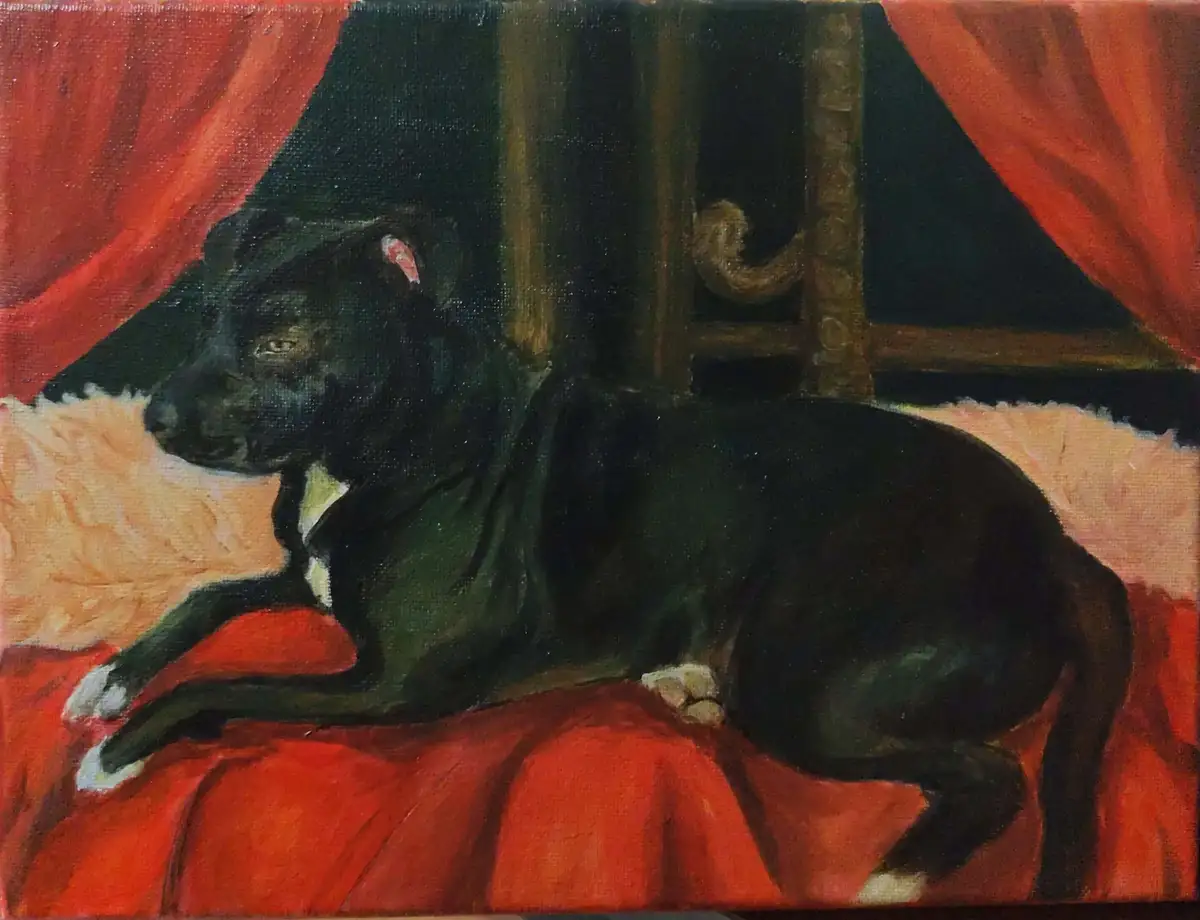 A painting of a black dog with white paws and chest, lying regally on a red couch with red curtains behind it. The dog has a…