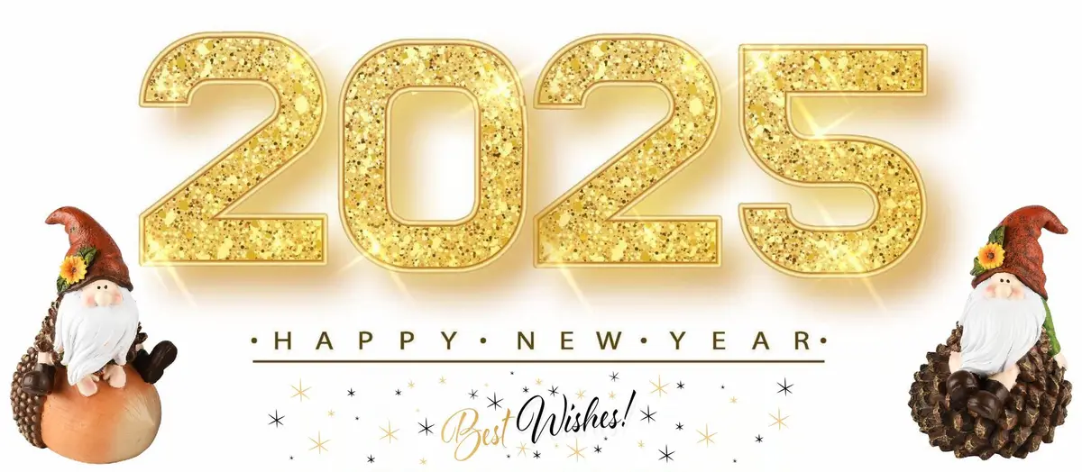 The image displays large, glittery gold numbers '2025' centered against a white background. Flanking the numbers are two…