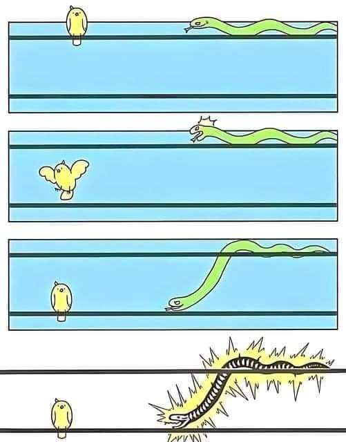 A four-panel cartoon depicts a yellow bird perched on a wire as a green snake approaches. The bird flies away, then returns…