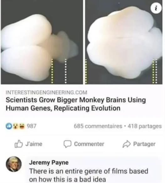 The image shows two side-by-side photos of monkey brains, one smaller and one larger, with a dotted line indicating growth…