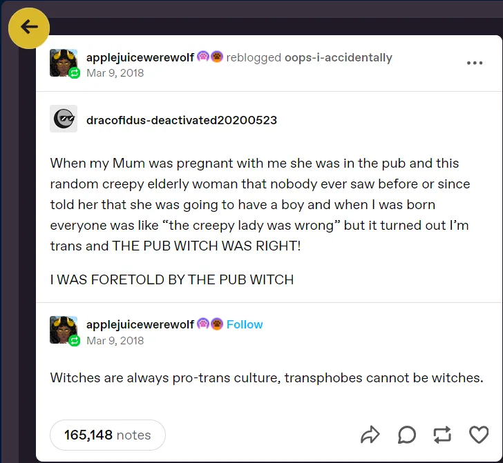 A Tumblr post screenshot showing a user recounting how a stranger at a pub predicted they would have a boy, which turned out…