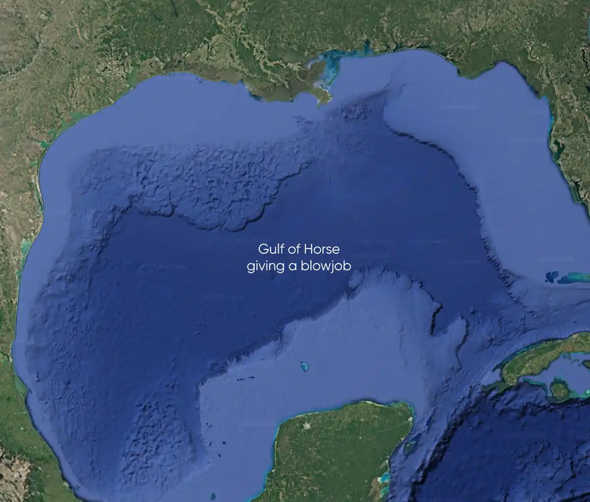 A satellite map image of the Gulf of Mexico, overlaid with the text 'Gulf of Horse giving a blowjob'. The map shows the…