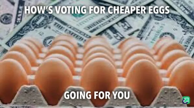 A close-up photo shows a carton of brown eggs arranged in rows, sitting atop a bed of scattered US dollar bills. White…