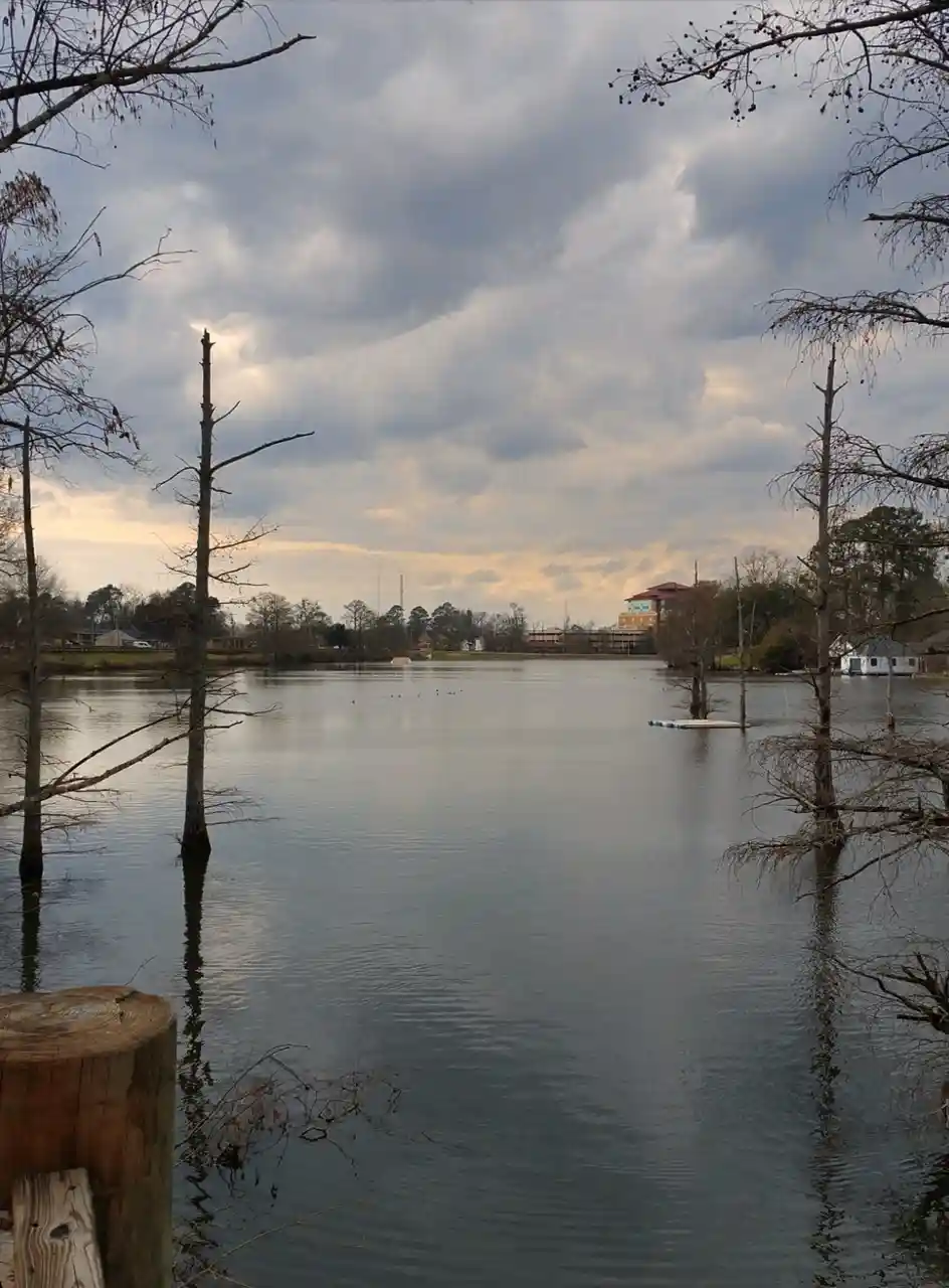 A calm, overcast lakeside scene with bare trees partially submerged in water, a wooden post in the foreground, and distant…