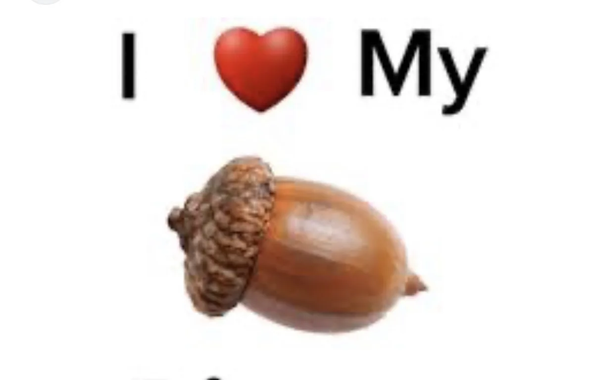 A single acorn is centered on a plain white background, with the text 'I ❤️ My' displayed above it in black font, using a…