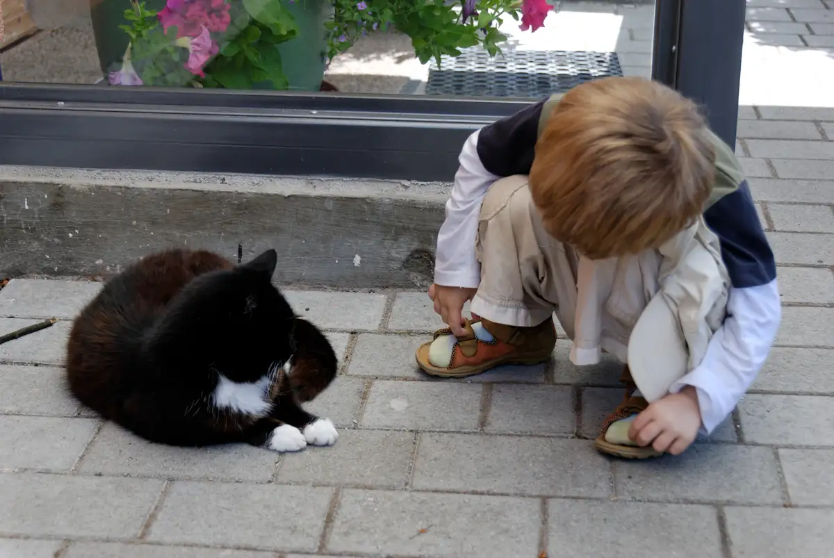 A young child with blond hair, wearing a beige vest over a white shirt and brown sandals, is crouched on a paved sidewalk…