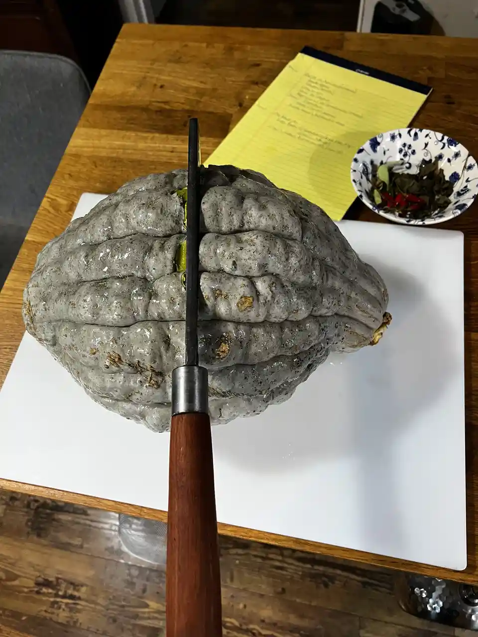 A large, gray, bumpy, brain-like vegetable sits on a white cutting board with a knife inserted vertically into its center…