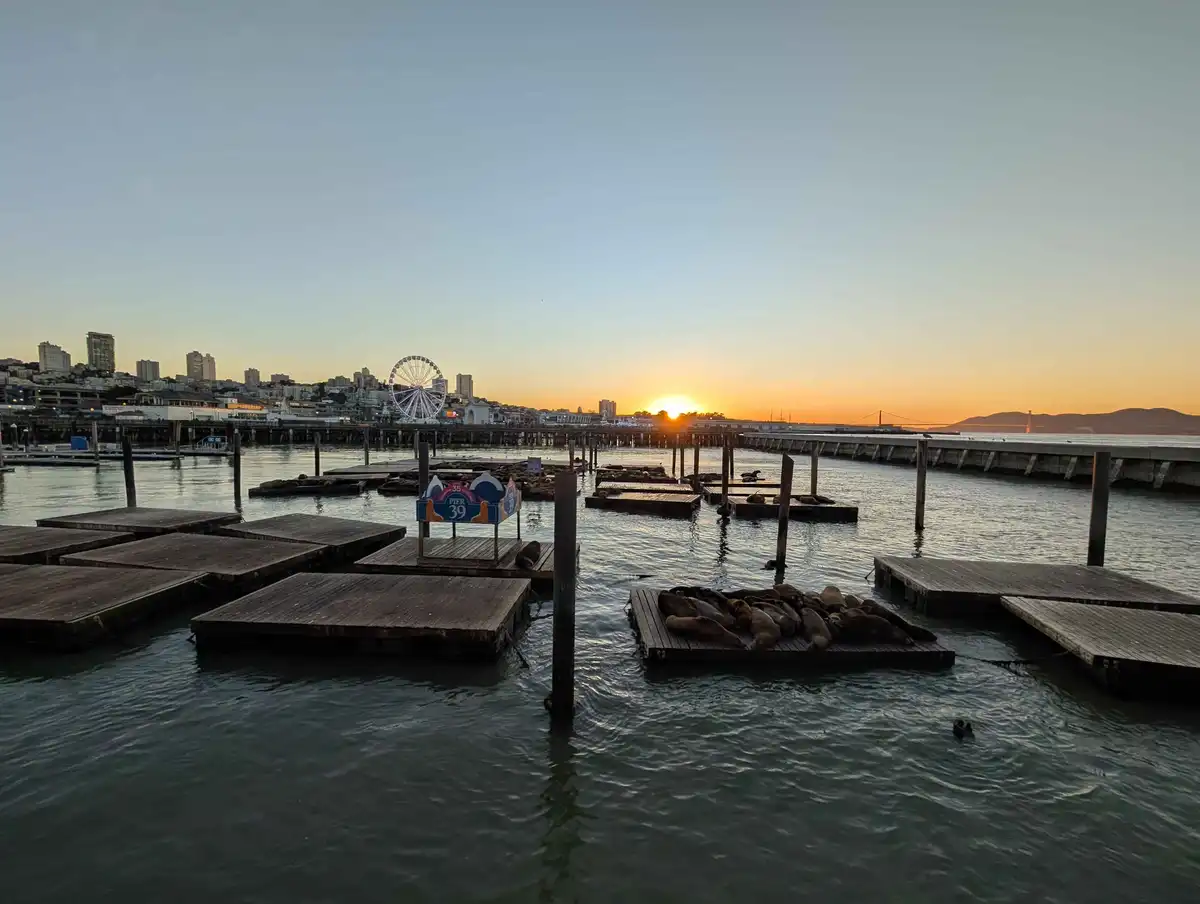 Behold the Majestic Sunset!