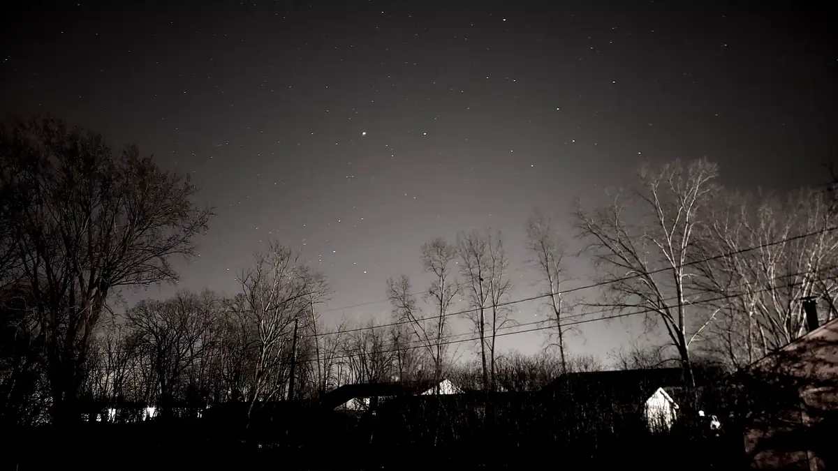 A black-and-white night photo shows a starry sky above bare trees and rooftops, with overlaid text reading 'i saw a star…