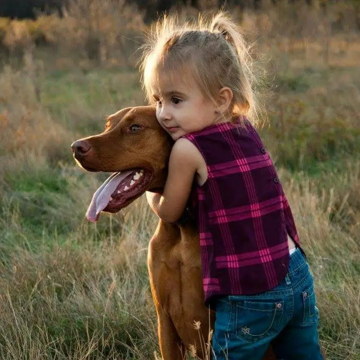 Love: The Uncontrollable Instinct We All Feel