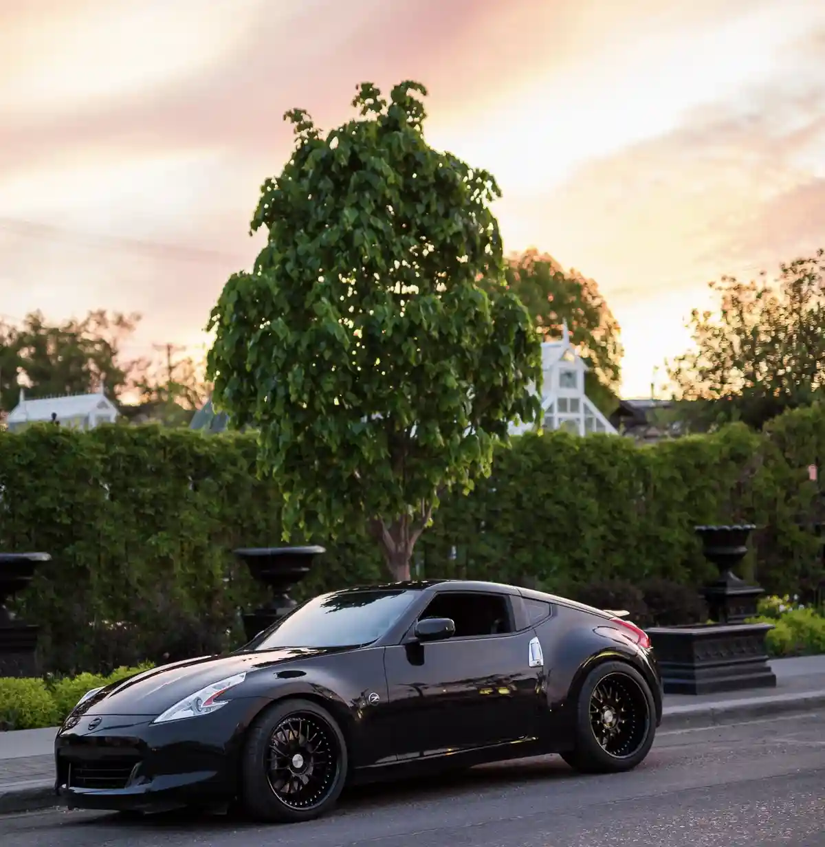 A glossy black Nissan 370Z sports car is parked on a street at sunset, with a large, leafy green tree directly behind it…