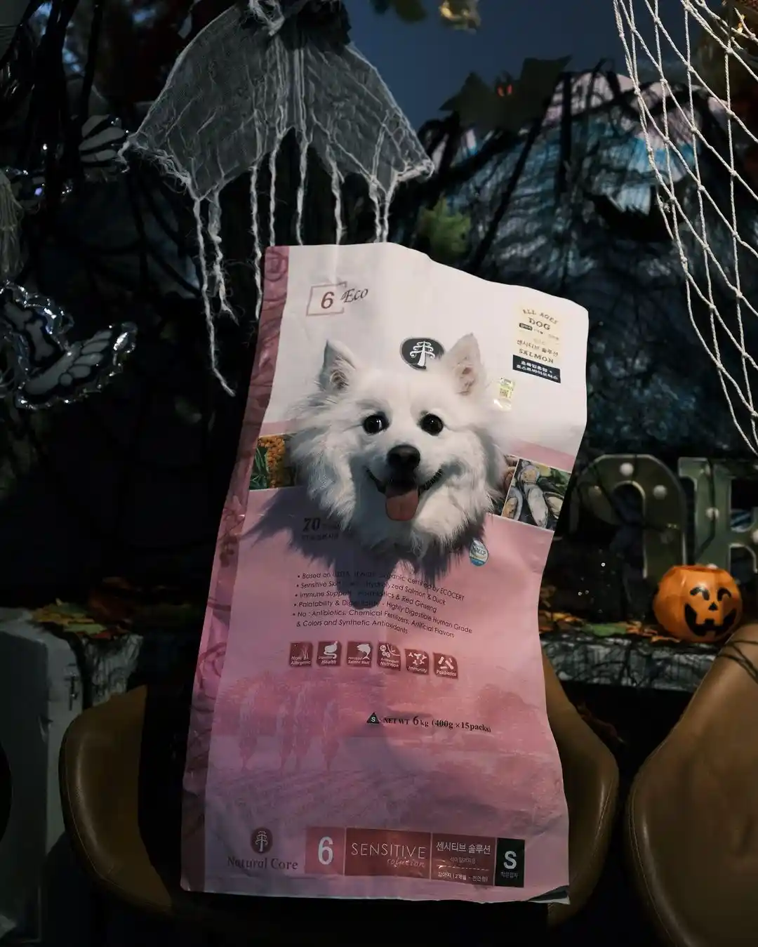 A bag of dog food labeled '6 Eco' and 'Sensitive Solution' is placed in a Halloween-decorated setting with spiderwebs, a…