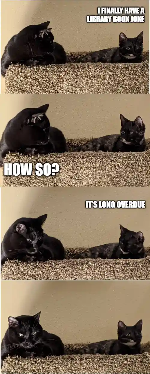 Meet Splunk and Smudge: The Dynamic Duo