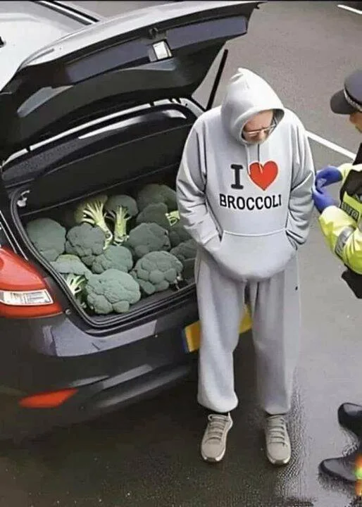 A person wearing a grey hoodie with the text 'I ❤️ BROCCOLI' stands beside an open car trunk filled with broccoli. A police…