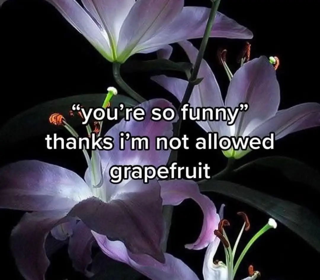 A close-up photo of several purple lilies with dark green stems and leaves against a black background. White text is…