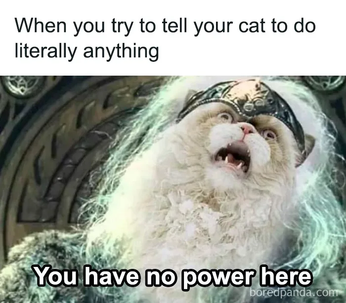 A fluffy white cat wearing a dark ornate helmet with glowing green energy effects around it, looks upward with an open mouth…