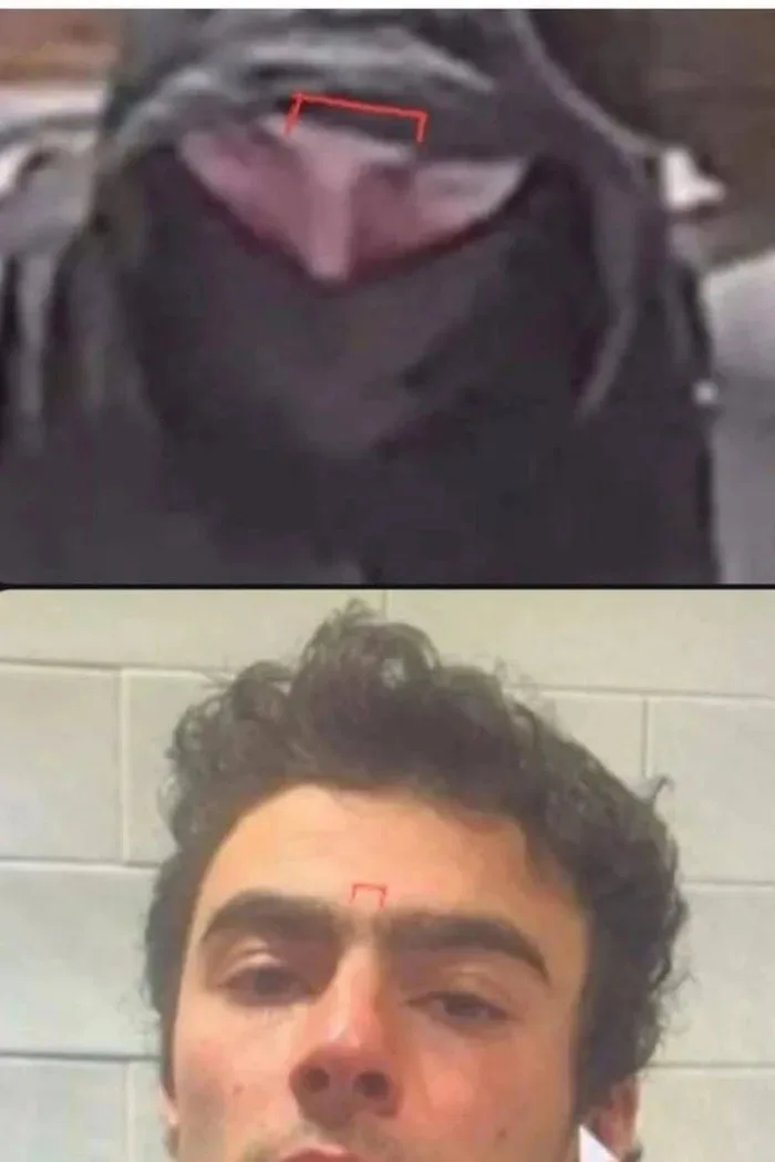 The image is a two-panel meme. The top panel shows a blurry, hooded figure with a red box highlighting a spot on their face…
